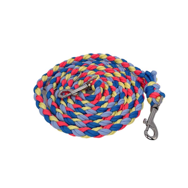 Leine aus Paracord 2m