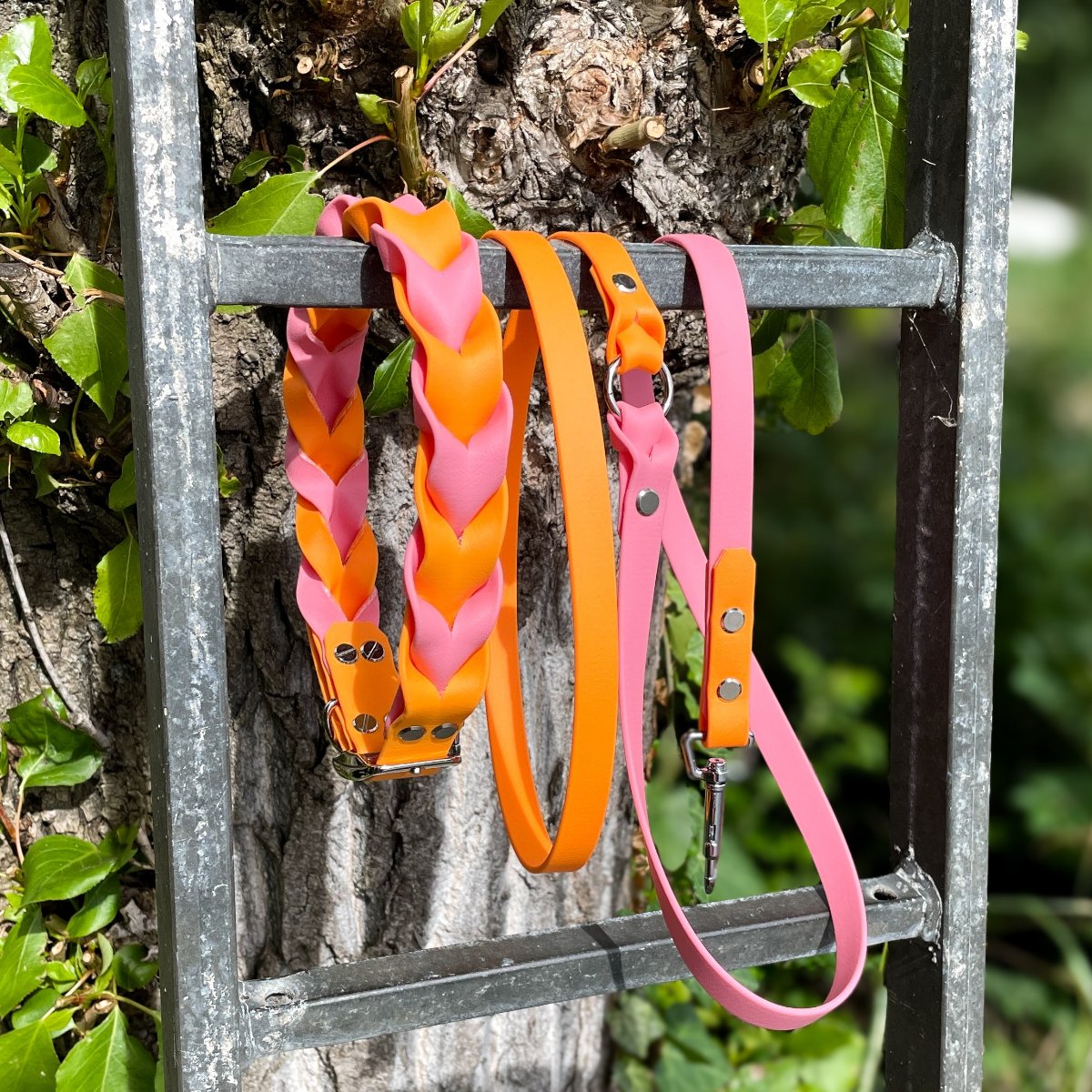 Entdecken Sie unser Biothane Double Set: ein stabiles Halsband und eine passende Leine, individuell gestaltbar und in verschiedenen Größen erhältlich!