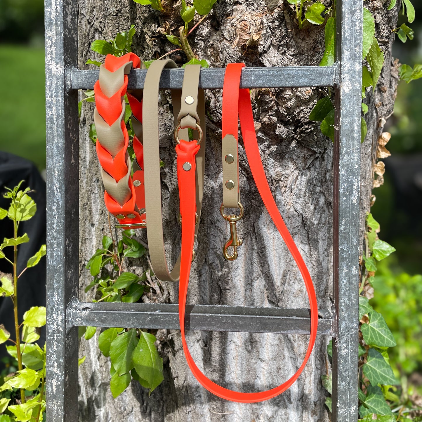 Entdecken Sie unser Biothane Double Set: ein stabiles Halsband und eine passende Leine, individuell gestaltbar und in verschiedenen Größen erhältlich!