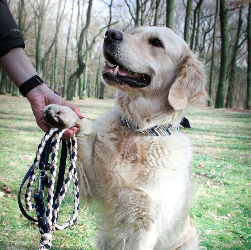 Verleihen Sie Ihrem Hund mit dem handgeknüpften Boho-Halsband „Arrow“ einen einzigartigen Look! Das trendige Chevron-Muster sorgt für Stil und Komfort – ideal für modebewusste Vierbeiner!