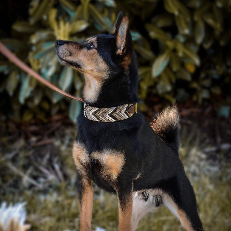 Verleihen Sie Ihrem Hund mit dem handgeknüpften Boho-Halsband „Arrow“ einen einzigartigen Look! Das trendige Chevron-Muster sorgt für Stil und Komfort – ideal für modebewusste Vierbeiner!