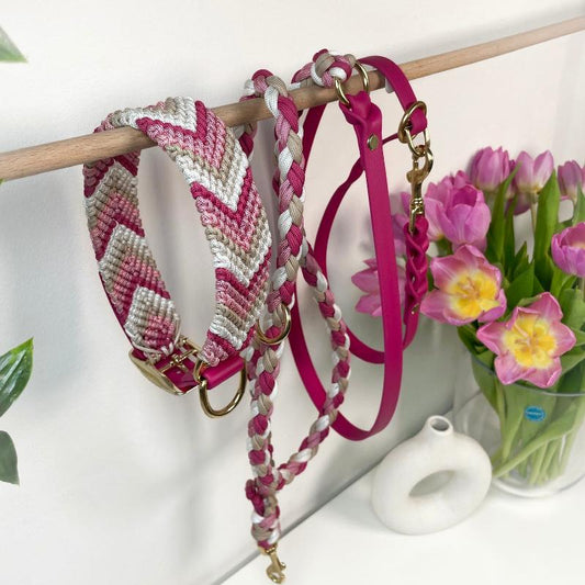 Verleihen Sie Ihrem Hund mit dem handgeknüpften Boho-Halsband „Arrow“ einen einzigartigen Look! Das trendige Chevron-Muster sorgt für Stil und Komfort – ideal für modebewusste Vierbeiner!