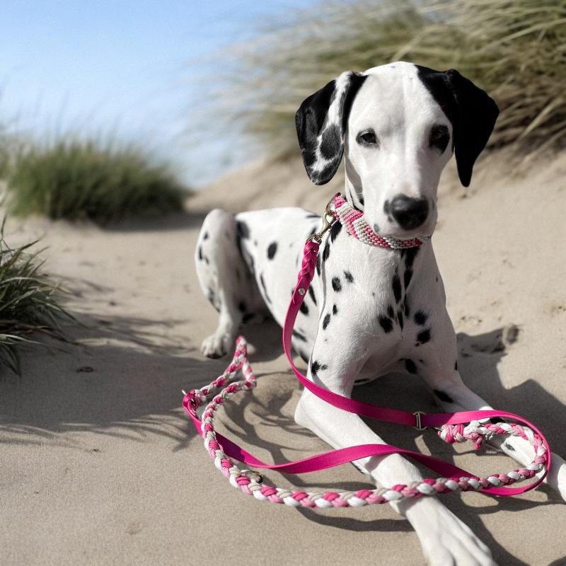 Verleihen Sie Ihrem Hund mit dem handgeknüpften Boho-Halsband „Arrow“ einen einzigartigen Look! Das trendige Chevron-Muster sorgt für Stil und Komfort – ideal für modebewusste Vierbeiner!