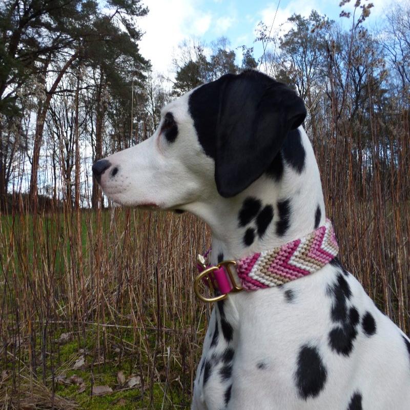 Verleihen Sie Ihrem Hund mit dem handgeknüpften Boho-Halsband „Arrow“ einen einzigartigen Look! Das trendige Chevron-Muster sorgt für Stil und Komfort – ideal für modebewusste Vierbeiner!