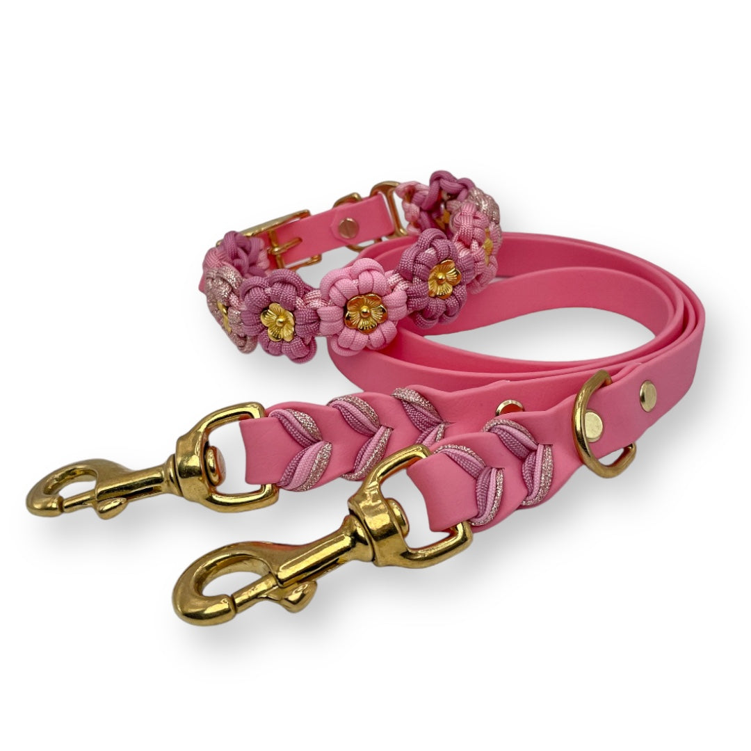 Set consisting of a Fleur d'amour collar and biothane leash