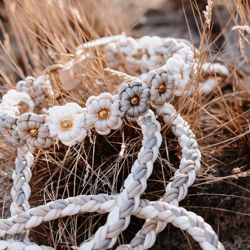 Geflochtenes Paracord Blumenhalsband und Leine für Hunde. Stilvolles Design, robust und bequem – perfekt für modische Spaziergänge mit Ihrem Vierbeiner!