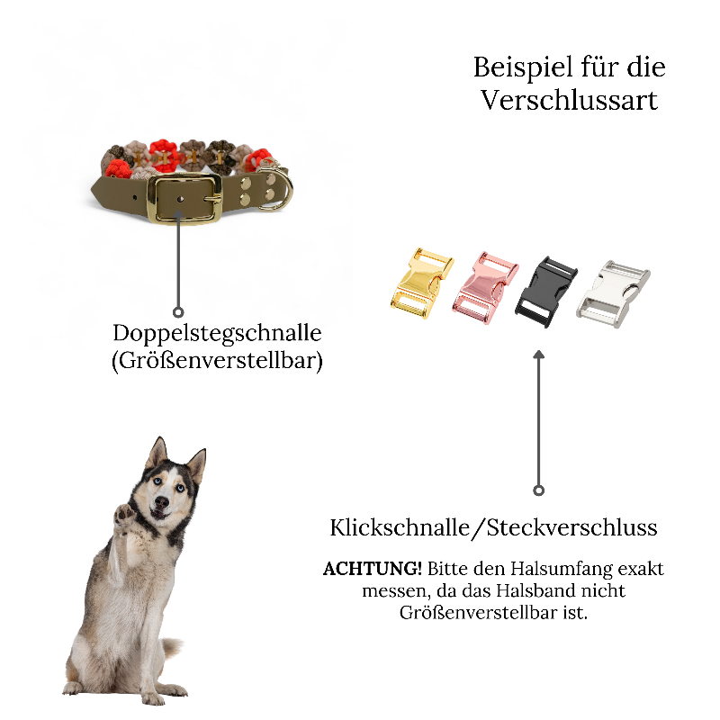 Individuell gestaltbares Blumenhalsband aus hochwertigem Paracord für Hunde. Wählen Sie Farben und Beschläge für ein einzigartiges, handgefertigtes Design.