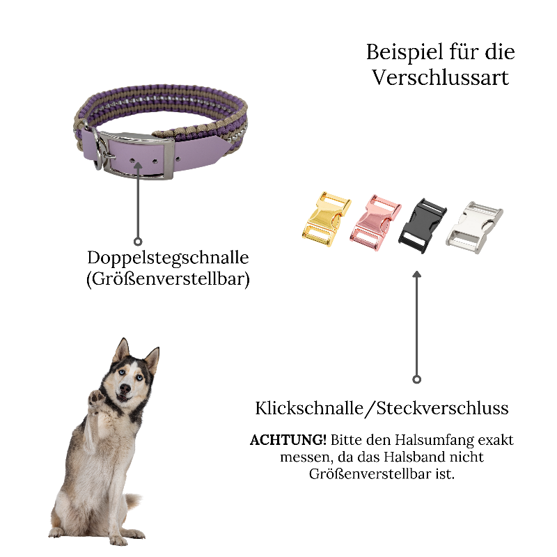 Individuell gestaltbares Halsband aus hochwertigem Paracord für Hunde. Wählen Sie Farben und Beschläge für ein einzigartiges, handgefertigtes Design.