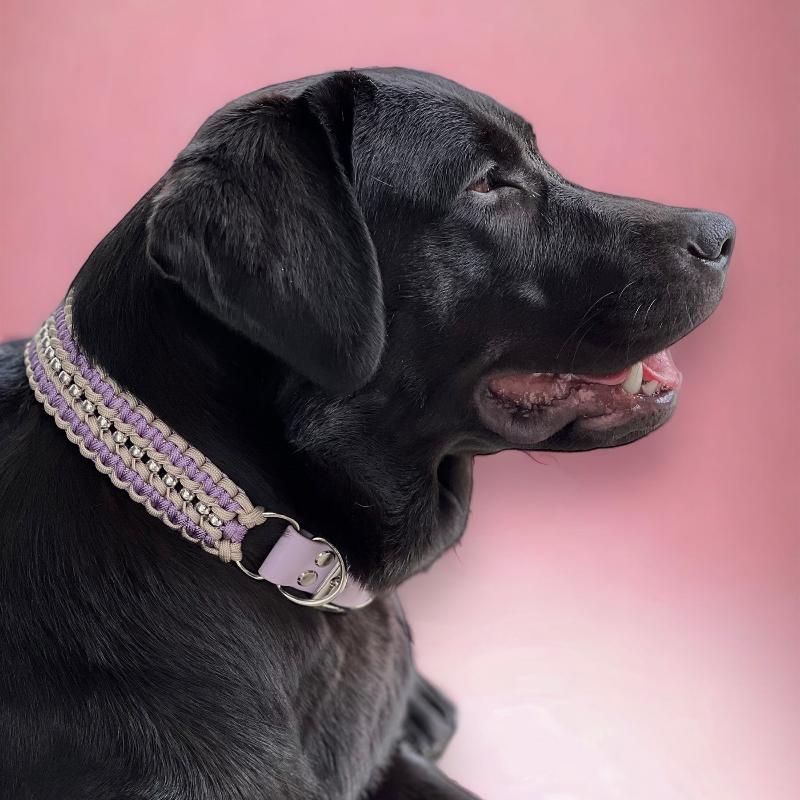 Individuell gestaltbares Halsband aus hochwertigem Paracord für Hunde. Wählen Sie Farben und Beschläge für ein einzigartiges, handgefertigtes Design.