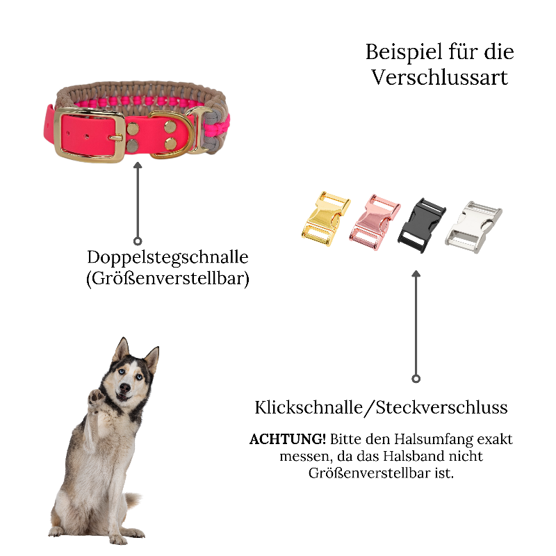 Individuell gestaltbares Halsband aus hochwertigem Paracord für Hunde. Wählen Sie Farben und Beschläge für ein einzigartiges, handgefertigtes Design.