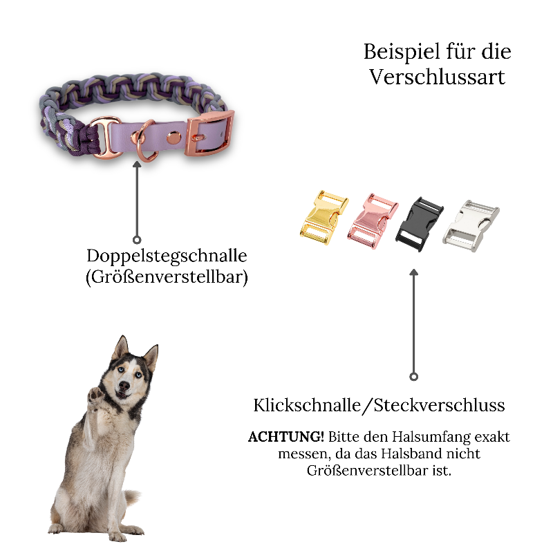 Individuell gestaltbares Halsband aus hochwertigem Paracord für Hunde. Wählen Sie Farben und Beschläge für ein einzigartiges, handgefertigtes Design.