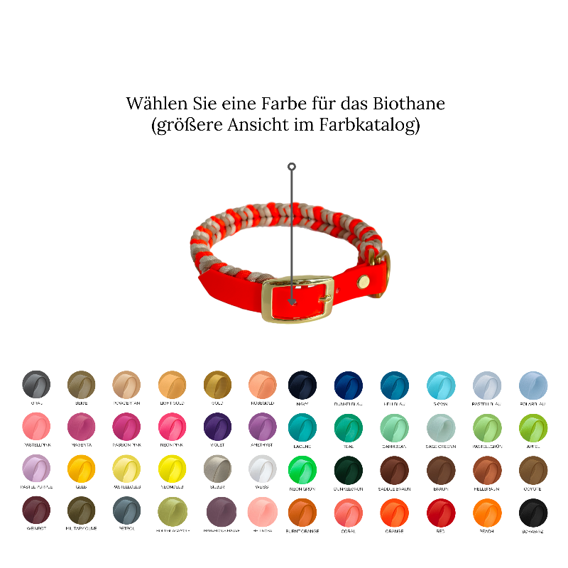 Individuell gestaltbares Halsband aus hochwertigem Paracord für Hunde. Wählen Sie Farben und Beschläge für ein einzigartiges, handgefertigtes Design.