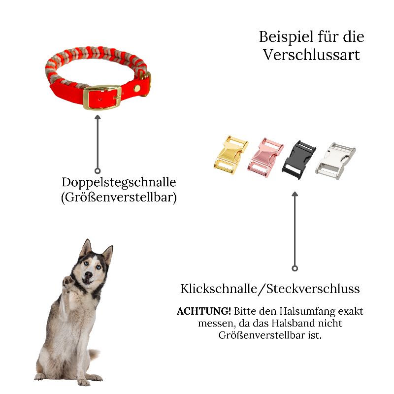 Individuell gestaltbares Halsband aus hochwertigem Paracord für Hunde. Wählen Sie Farben und Beschläge für ein einzigartiges, handgefertigtes Design.