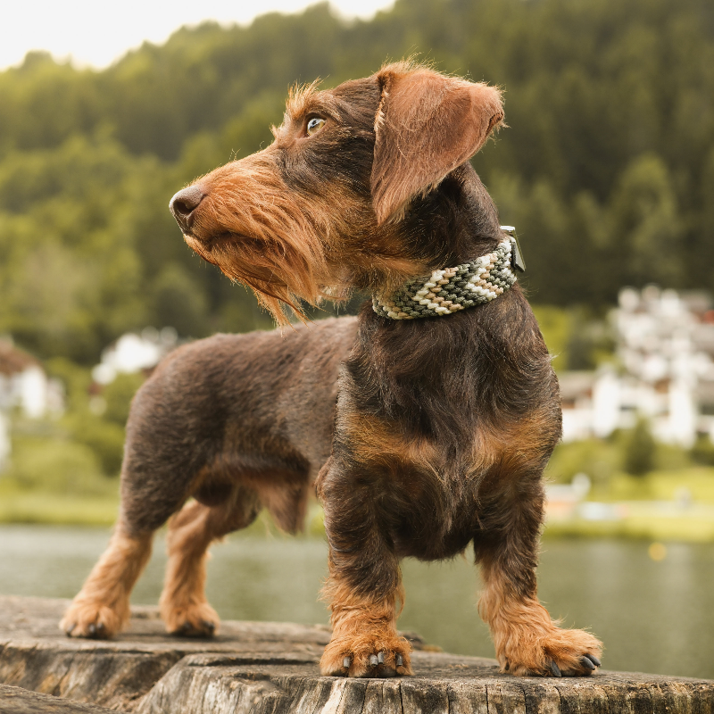 Verleihen Sie Ihrem Hund mit dem handgeknüpften Boho-Halsband „small Arrow“ einen einzigartigen Look! Das trendige Chevron-Muster sorgt für Stil und Komfort – ideal für modebewusste Vierbeiner!