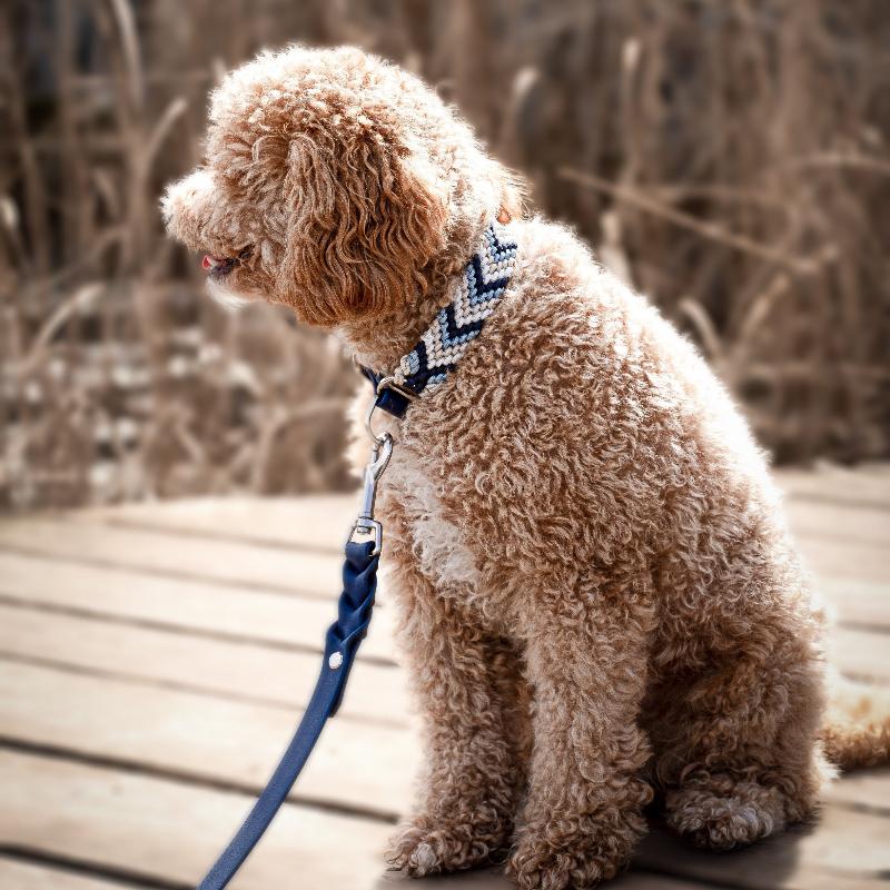 Verleihen Sie Ihrem Hund mit dem handgeknüpften Boho-Halsband „small Arrow“ einen einzigartigen Look! Das trendige Chevron-Muster sorgt für Stil und Komfort – ideal für modebewusste Vierbeiner!