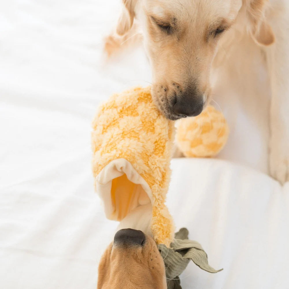 PINEAPPLE POP Hundespielzeug: Plüschige Ananas mit Quietscher, knisterndem Material und verstecktem Ball. Ideal für Schnüffelspiele und Kuschelmomente.