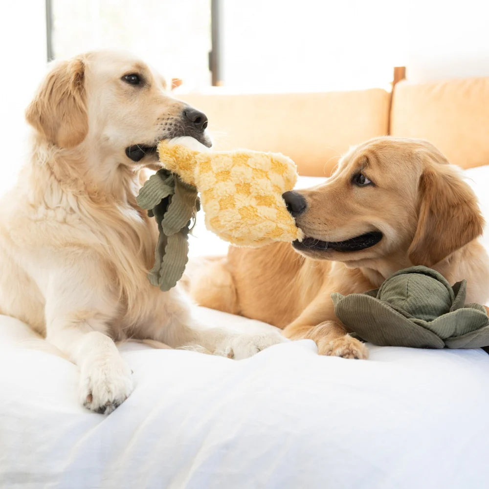 PINEAPPLE POP Hundespielzeug: Plüschige Ananas mit Quietscher, knisterndem Material und verstecktem Ball. Ideal für Schnüffelspiele und Kuschelmomente.