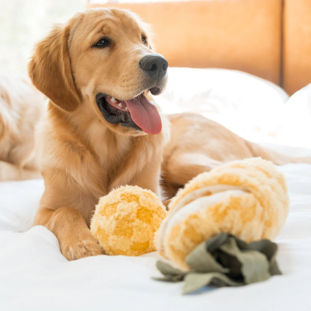 PINEAPPLE POP Hundespielzeug: Plüschige Ananas mit Quietscher, knisterndem Material und verstecktem Ball. Ideal für Schnüffelspiele und Kuschelmomente.