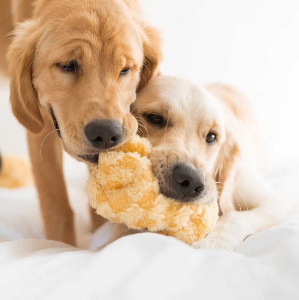 PINEAPPLE POP Hundespielzeug: Plüschige Ananas mit Quietscher, knisterndem Material und verstecktem Ball. Ideal für Schnüffelspiele und Kuschelmomente.