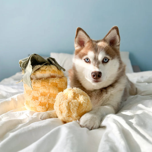 PINEAPPLE POP Hundespielzeug: Plüschige Ananas mit Quietscher, knisterndem Material und verstecktem Ball. Ideal für Schnüffelspiele und Kuschelmomente.