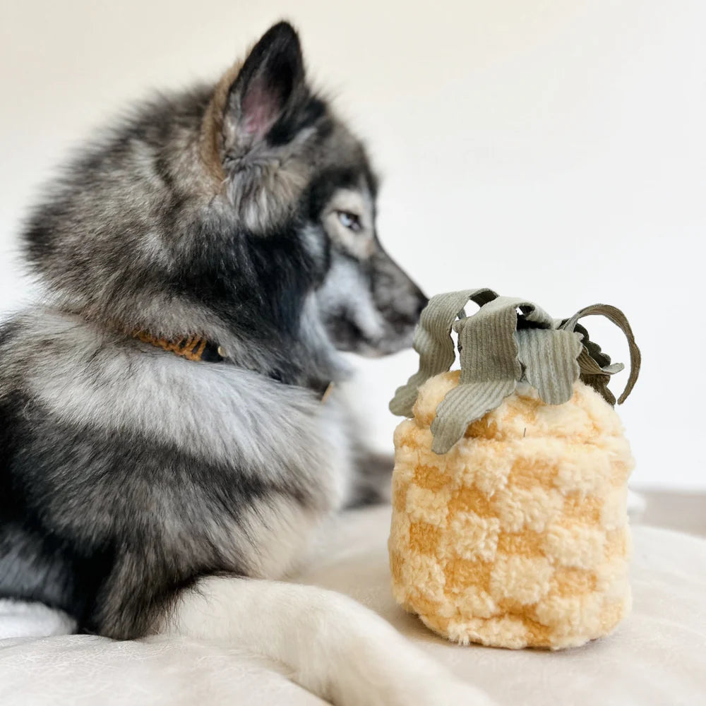 PINEAPPLE POP Hundespielzeug: Plüschige Ananas mit Quietscher, knisterndem Material und verstecktem Ball. Ideal für Schnüffelspiele und Kuschelmomente.