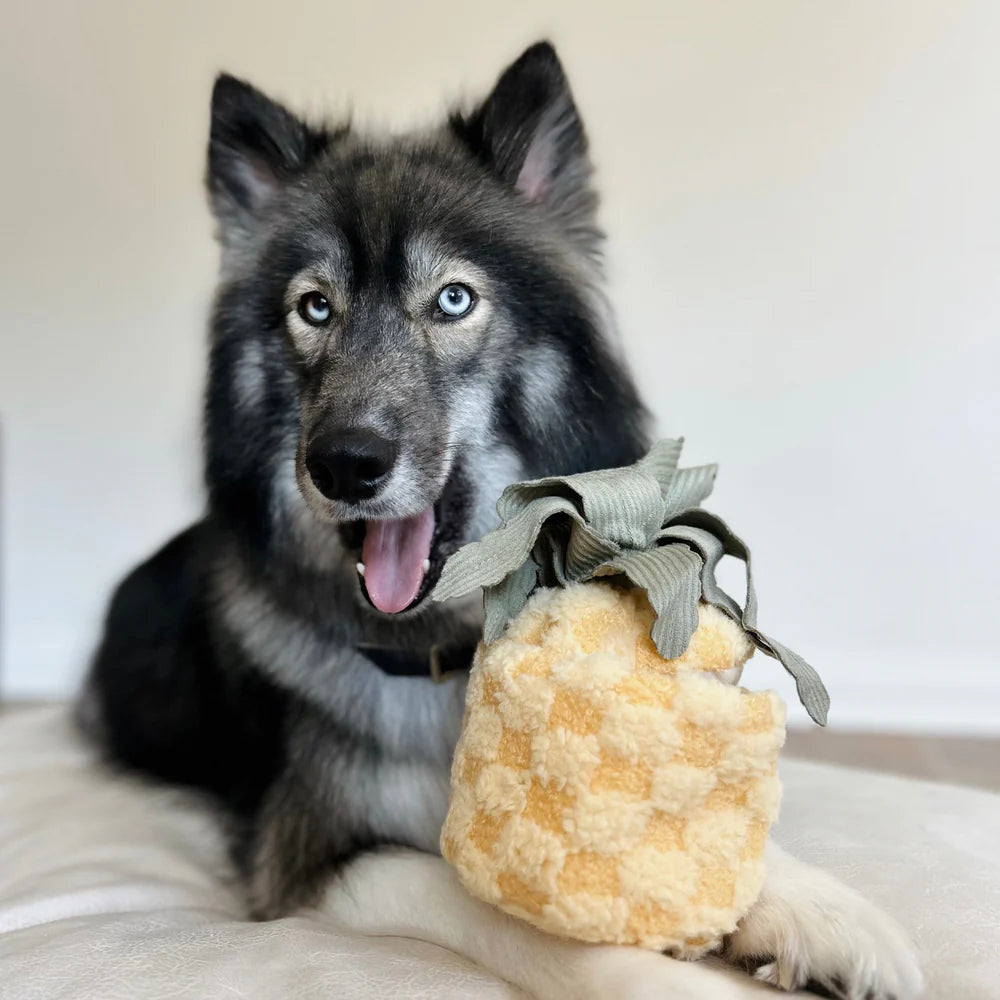 PINEAPPLE POP Hundespielzeug: Plüschige Ananas mit Quietscher, knisterndem Material und verstecktem Ball. Ideal für Schnüffelspiele und Kuschelmomente.