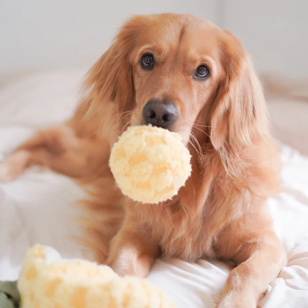 PINEAPPLE POP Hundespielzeug: Plüschige Ananas mit Quietscher, knisterndem Material und verstecktem Ball. Ideal für Schnüffelspiele und Kuschelmomente.