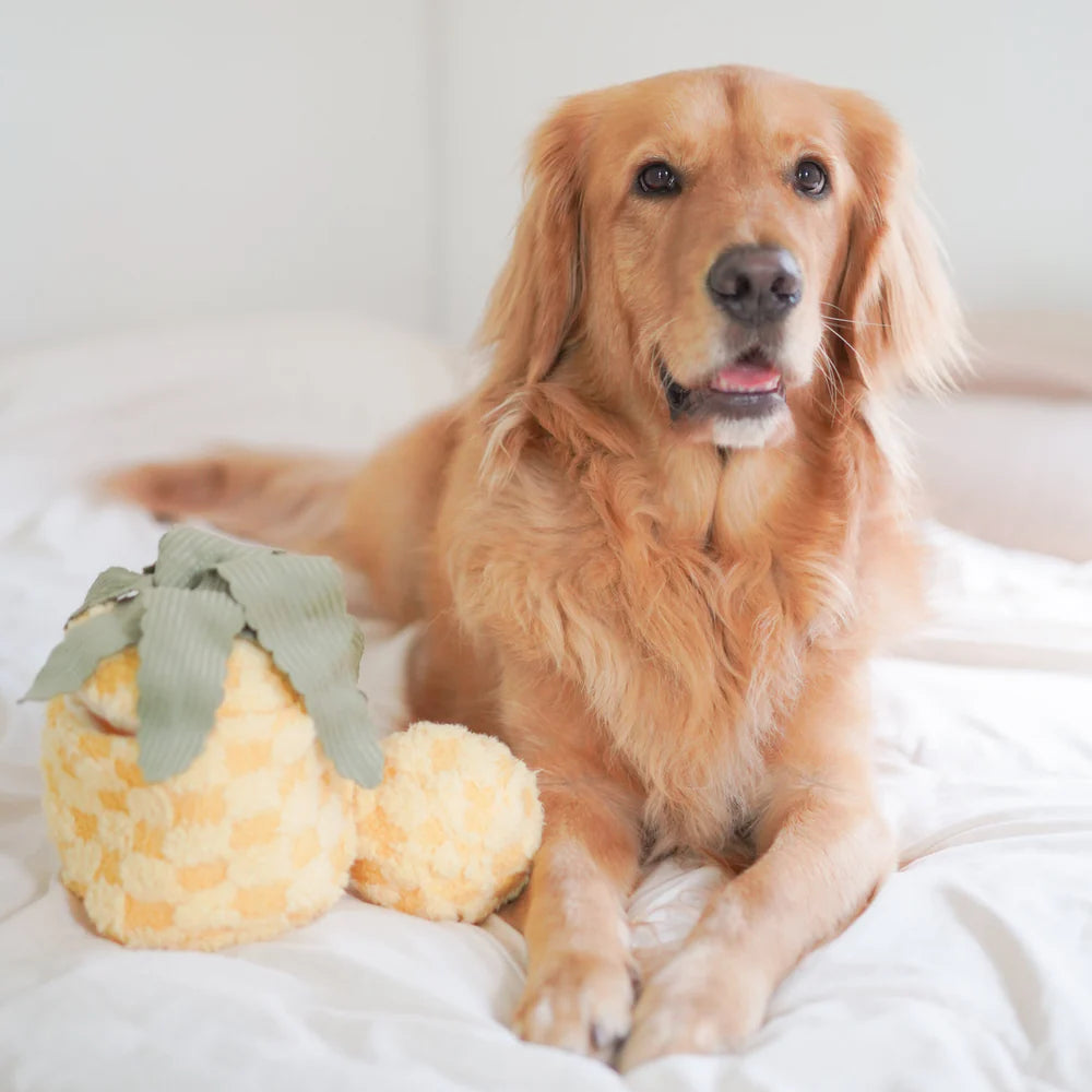 PINEAPPLE POP Hundespielzeug: Plüschige Ananas mit Quietscher, knisterndem Material und verstecktem Ball. Ideal für Schnüffelspiele und Kuschelmomente.