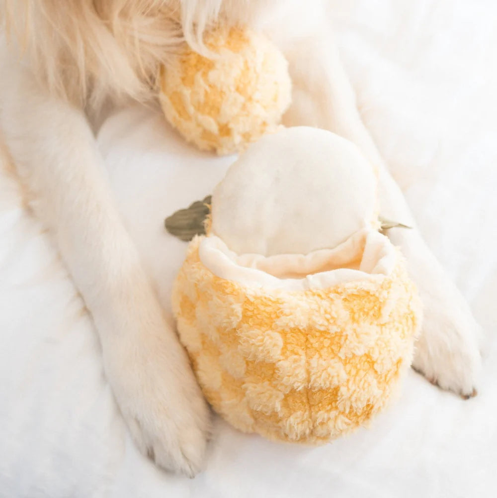 PINEAPPLE POP Hundespielzeug: Plüschige Ananas mit Quietscher, knisterndem Material und verstecktem Ball. Ideal für Schnüffelspiele und Kuschelmomente.