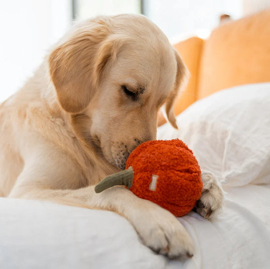 Entdecken Sie das Schnüffelspielzeug Pfeffer von Lambwolf Collective – ideal für geistige Auslastung und Spielspaß für Ihren Hund! Perfekt zum Suchen und Schnüffeln.