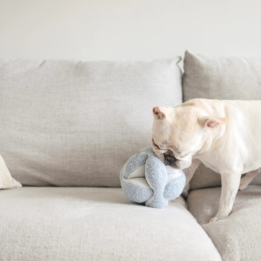 Entdecken Sie den Schnüffelball MONTI von Lambwolf Collective – ideal für geistige Auslastung und Spielspaß für Ihren Hund! Perfekt zum Suchen und Schnüffeln.