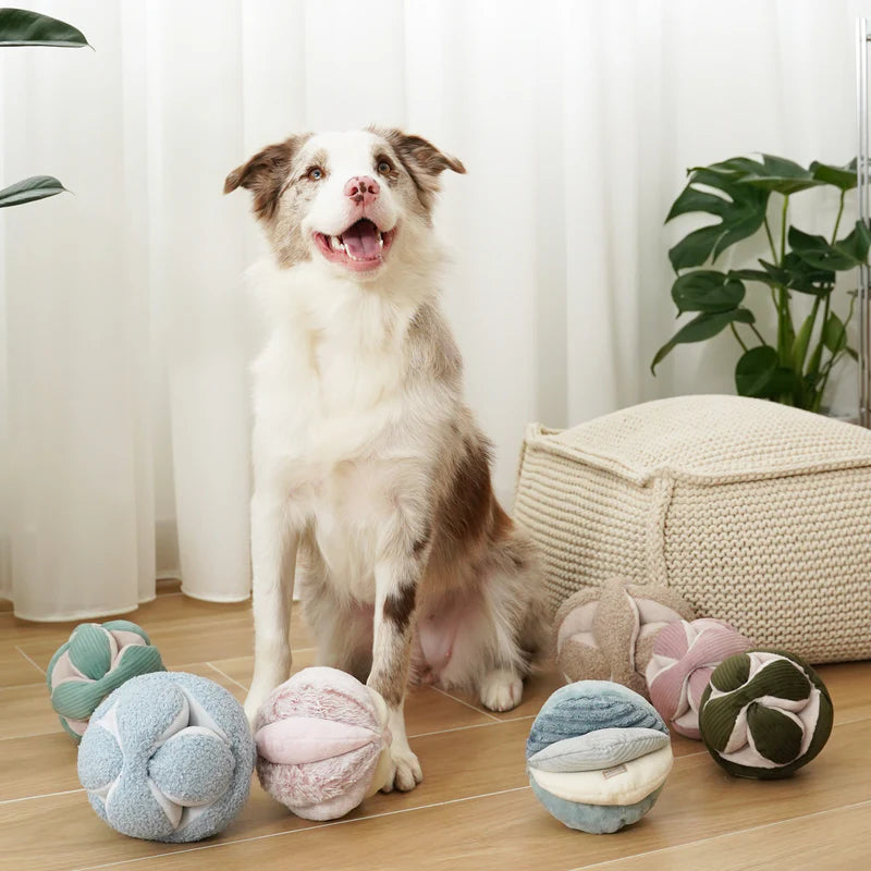 Entdecken Sie den Schnüffelball MONTI von Lambwolf Collective – ideal für geistige Auslastung und Spielspaß für Ihren Hund! Perfekt zum Suchen und Schnüffeln.