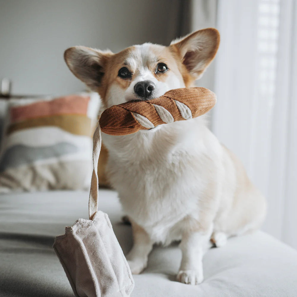 Mini-Baguette Hundespielzeug von Lambwolf Collective mit Quietscher und knisterndem Material. Ideal zum Verstecken von Leckereien und für interaktive Spiele.