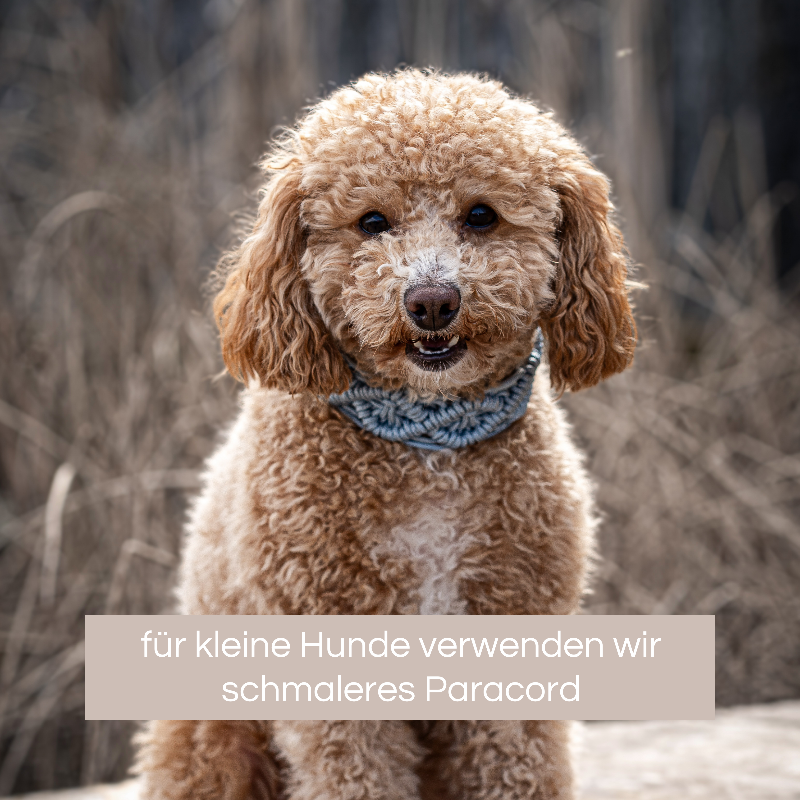 Entdecken Sie hochwertige Paracord Halsbänder und Leinen für Hunde. Robust, stylisch und individuell anpassbar – ideal für Abenteuer mit Ihrem Vierbeiner!