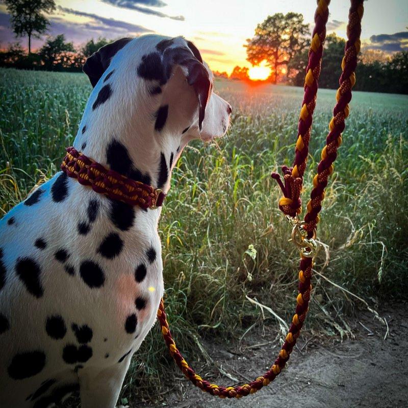 Handgefertigtes Paracord Halsband und Leine für Hunde, inspiriert von Harry Potter und Gryffindor. Stilvoll, individuell anpassbar und funktional!