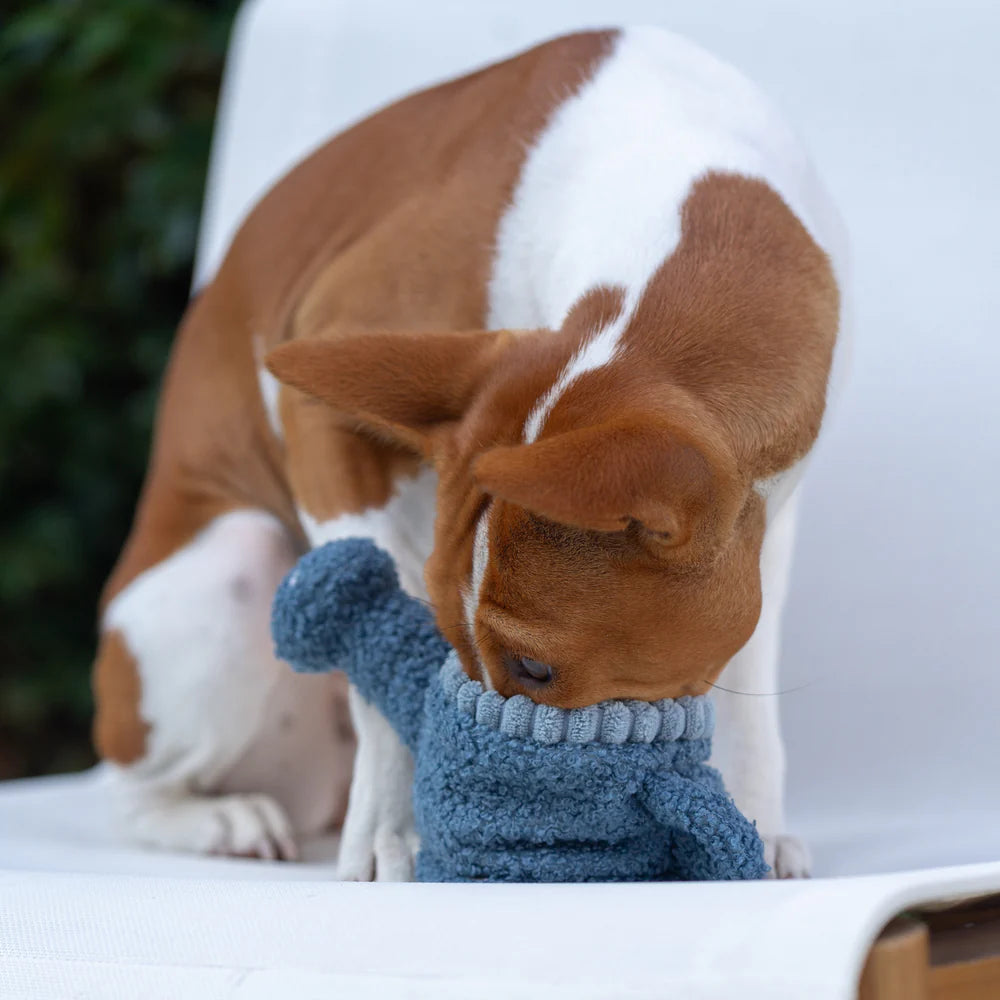 Interaktive 3-in-1-Gießkanne von Lambwolf Collective für Hunde. Enthält Zugseil, Quietscher und Mini-Hüpfball. Fördert Schnüffeln, Spielen und Kuscheln.