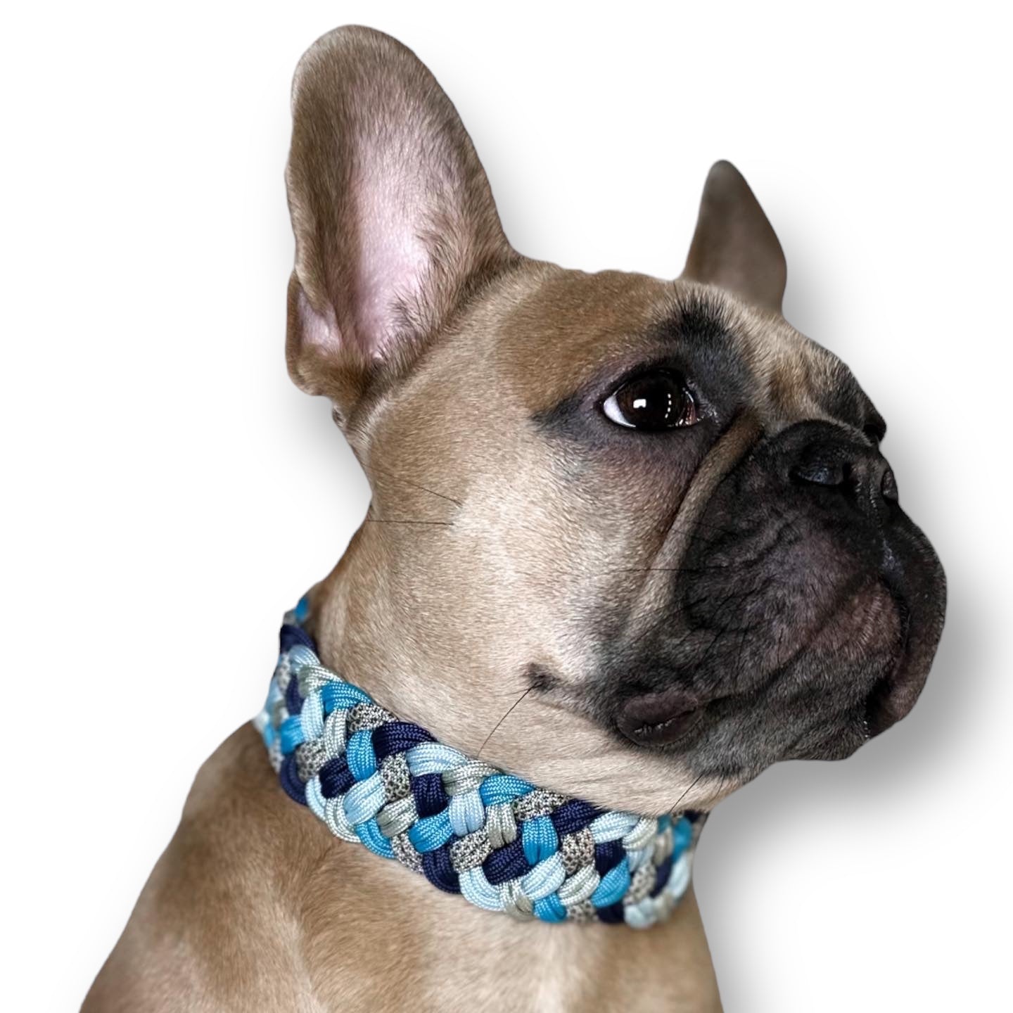 Handgemachtes geflochtenes breites Hundehalsband aus Paracord im Onlineshop Bellousya